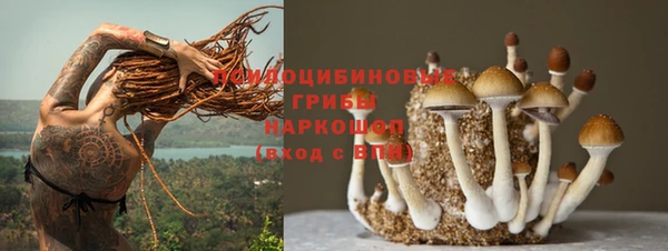 молекула духа Горняк