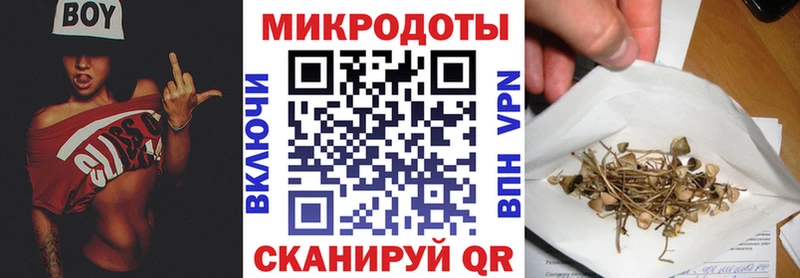 дарк нет телеграм  сколько стоит  Ува  Псилоцибиновые грибы GOLDEN TEACHER 